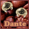 Pirate Dante