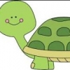 turtlele